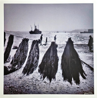 Ara Güler (1928-2018)