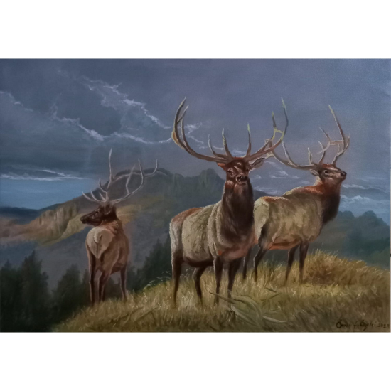 Ömer Faruk Özelçi 