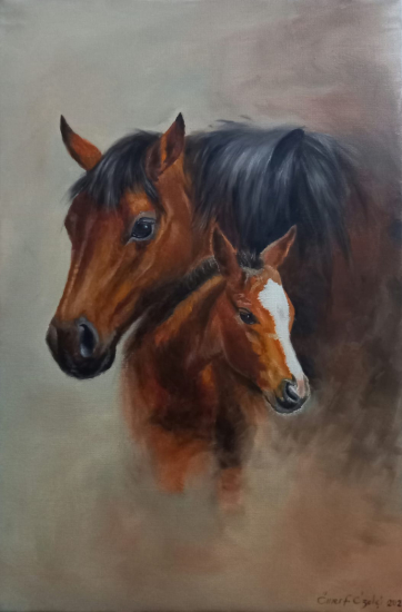 Ömer Faruk Özelçi 