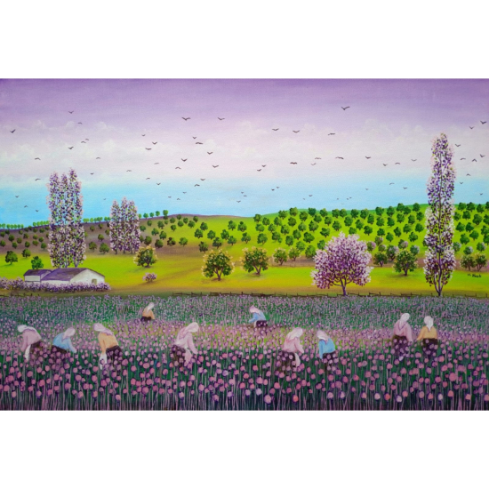 Hatice Nazlı Seygan 