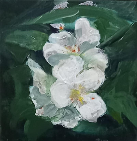 Ayten Karasu Güreşçi 