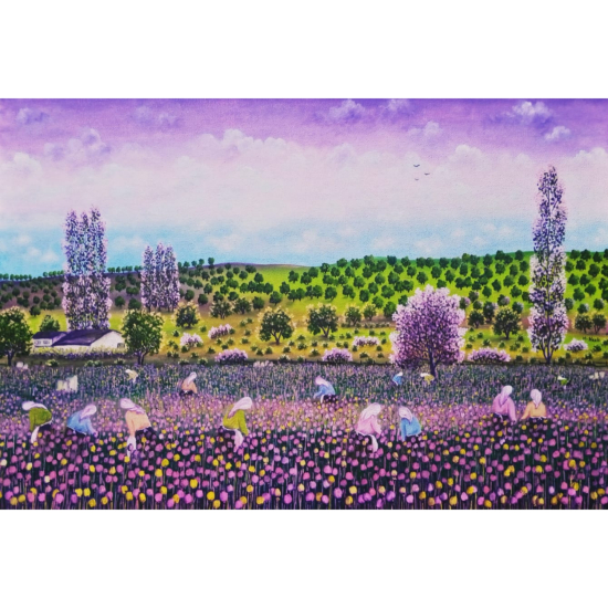 Hatice Nazlı Seygan 