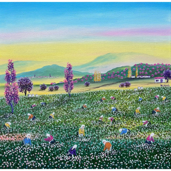 Hatice Nazlı Seygan 