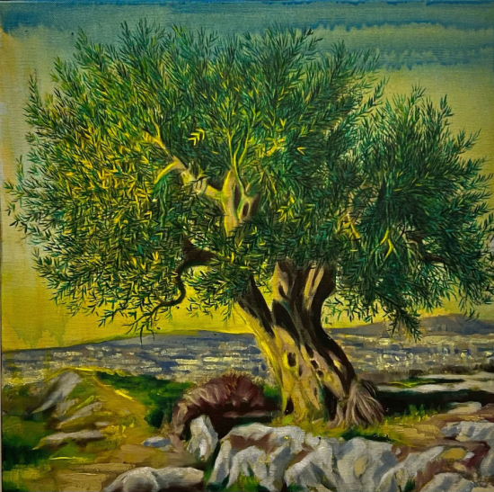 Selmani Baki Kocaispir