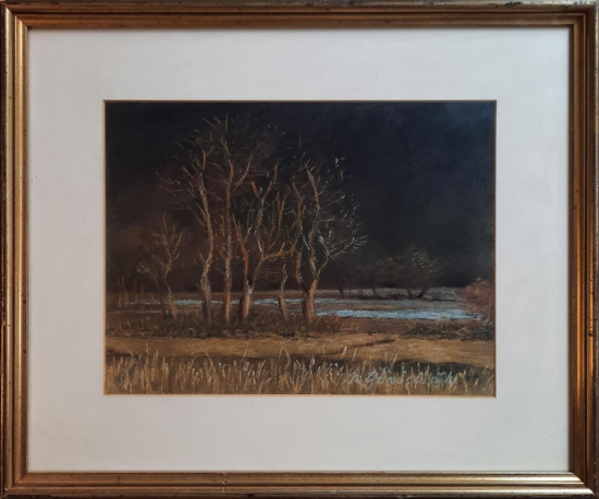 Neşe Gümüşçüoğlu