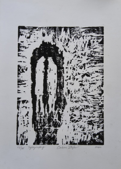 Orhan Zafer(Mavi Ressam)