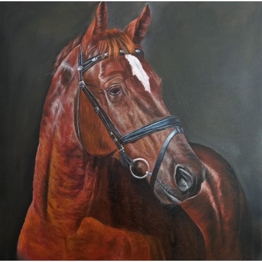 Ömer Faruk Özelçi 