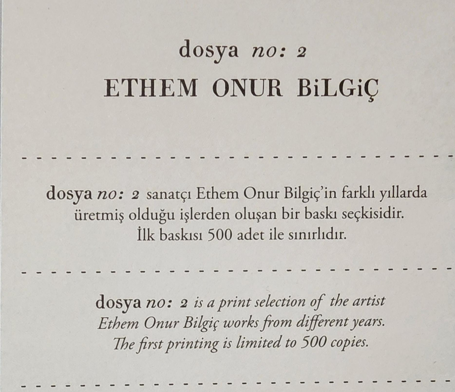Ethem Onur Bilgiç