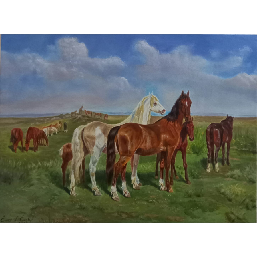 Ömer Faruk Özelçi 