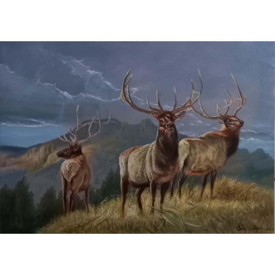 Ömer Faruk Özelçi 