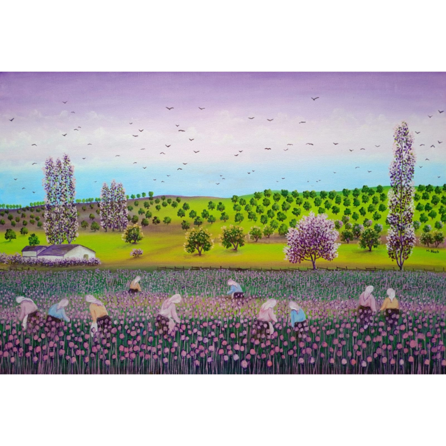 Hatice Nazlı Seygan 