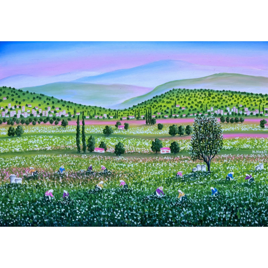 Hatice Nazlı Seygan 