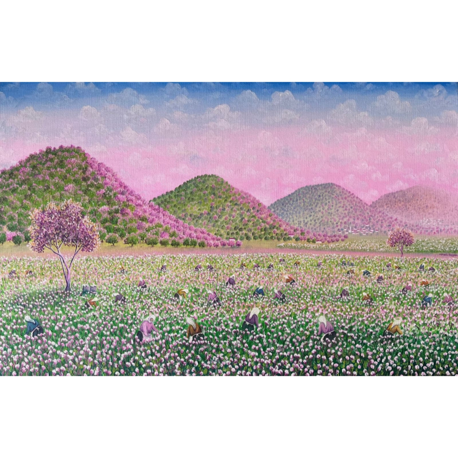 Hatice Nazlı Seygan 