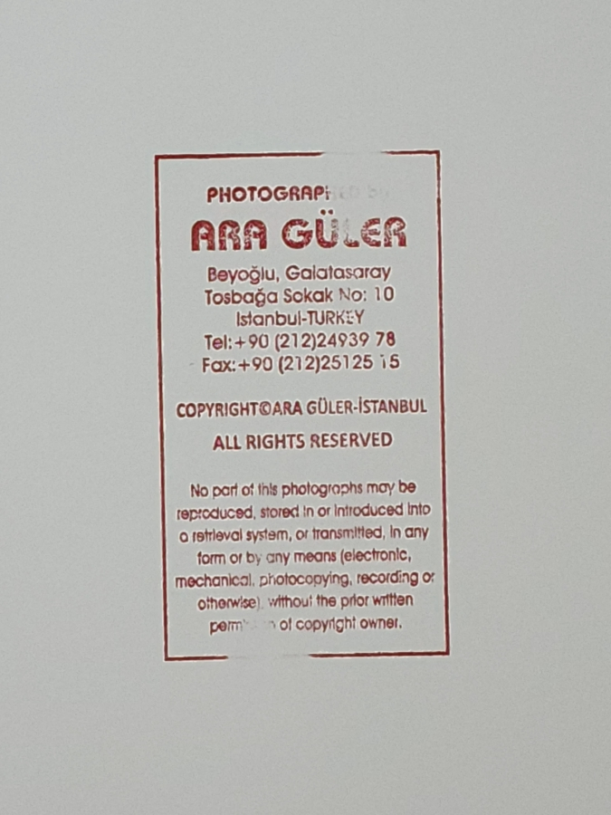 Ara Güler