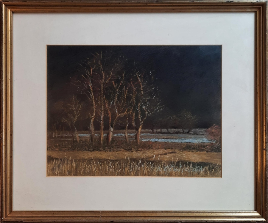 Neşe Gümüşçüoğlu